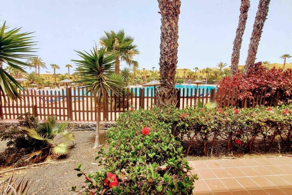 Tamarindo 28, Pool Front,Free Wifi Daire Corralejo Dış mekan fotoğraf