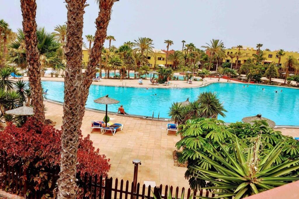 Tamarindo 28, Pool Front,Free Wifi Daire Corralejo Dış mekan fotoğraf