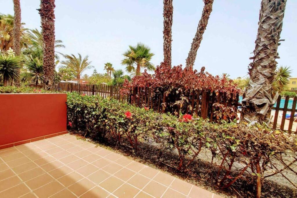 Tamarindo 28, Pool Front,Free Wifi Daire Corralejo Dış mekan fotoğraf