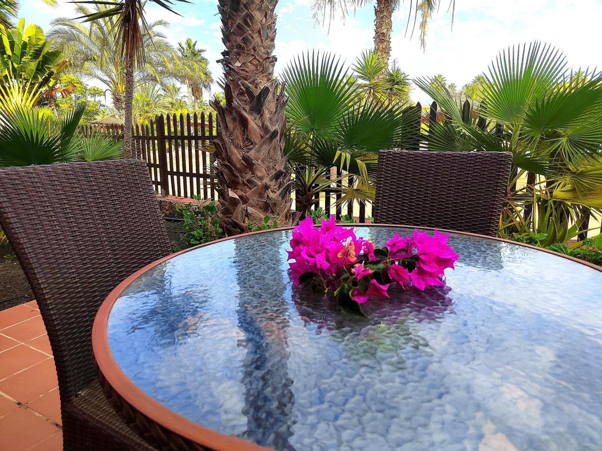 Tamarindo 28, Pool Front,Free Wifi Daire Corralejo Dış mekan fotoğraf
